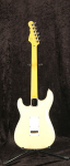 
                            G&L S-500 Tribute